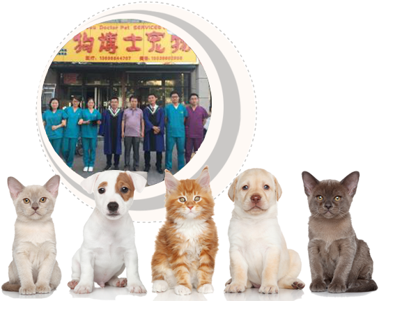 河南狗博仕寵物醫(yī)院有限公司