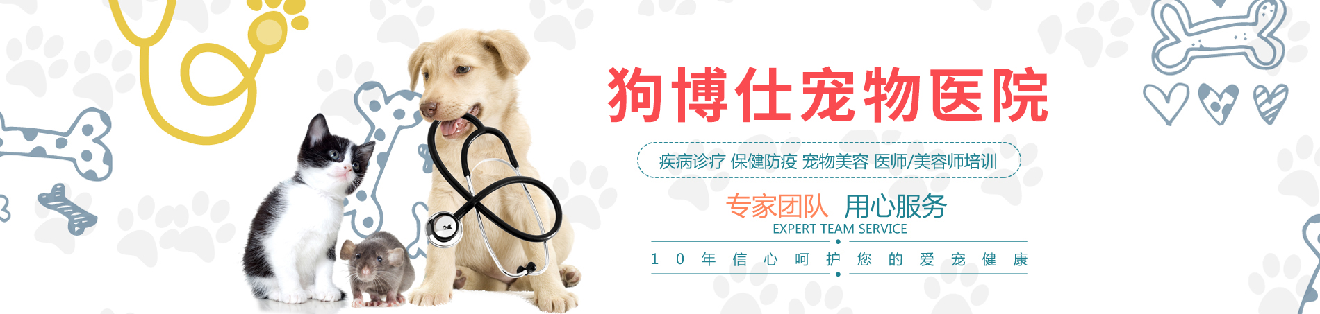 洛陽(yáng)市洛龍區(qū)狗博士寵物醫(yī)院