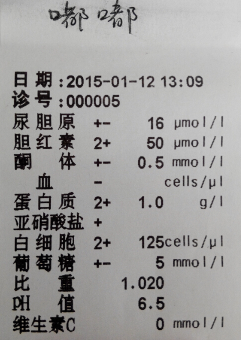 重癥犬瘟的治療2