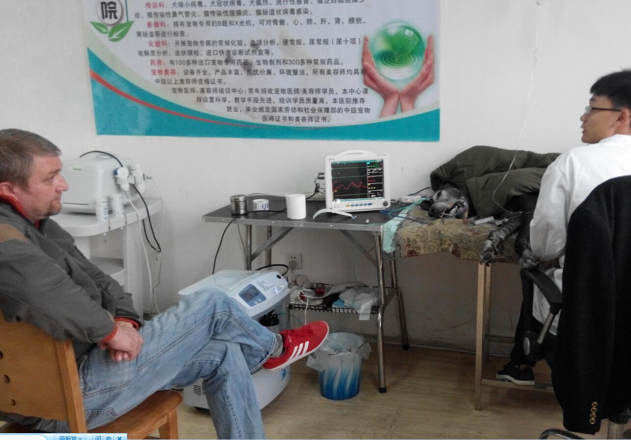 心電圖、血壓檢查