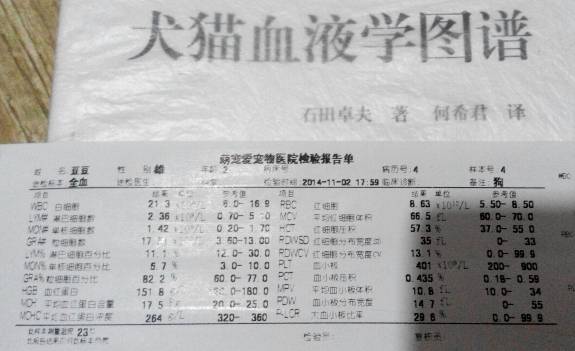 血常規(guī)檢查