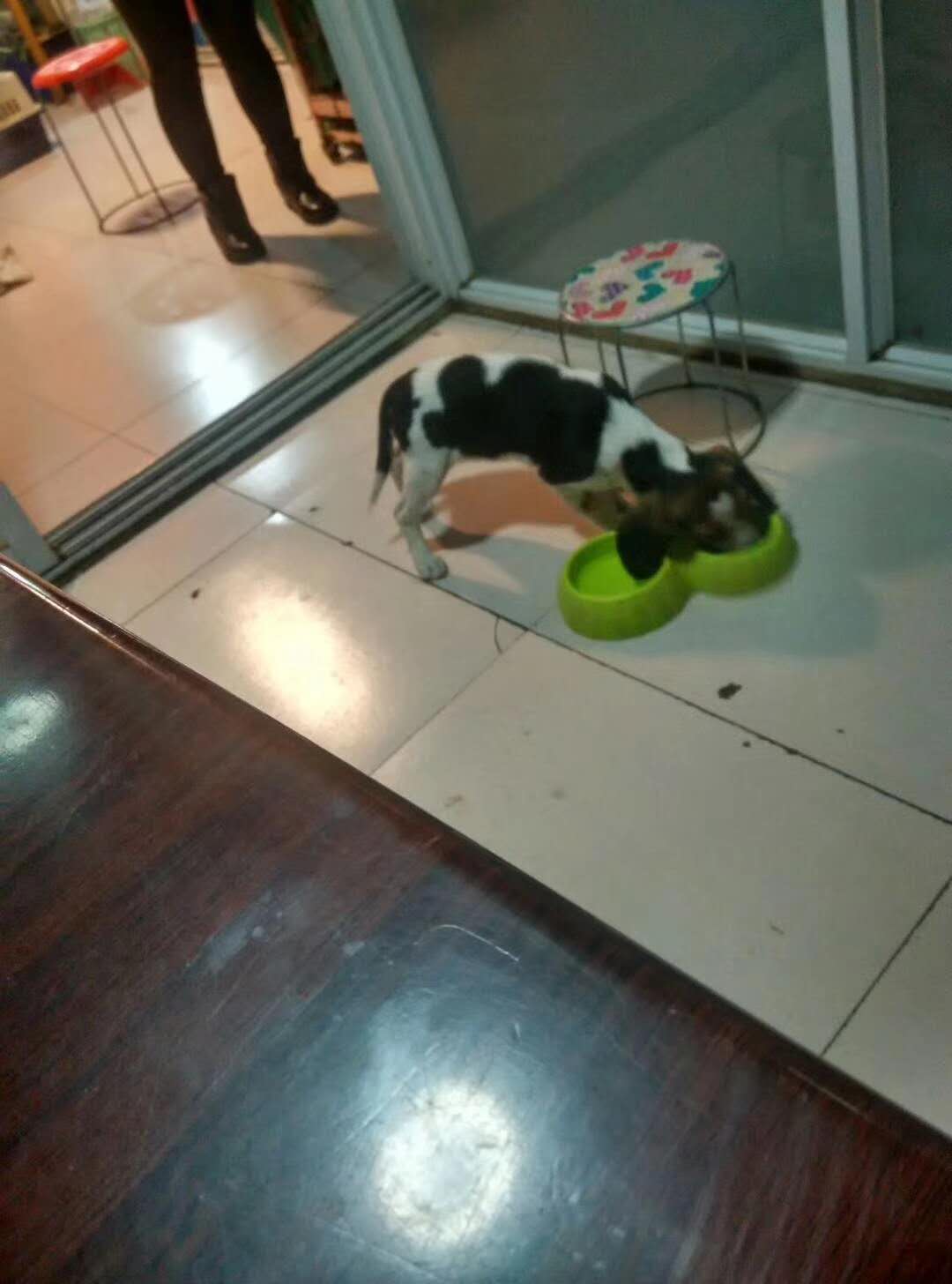 微信圖片_20180107141501.jpg