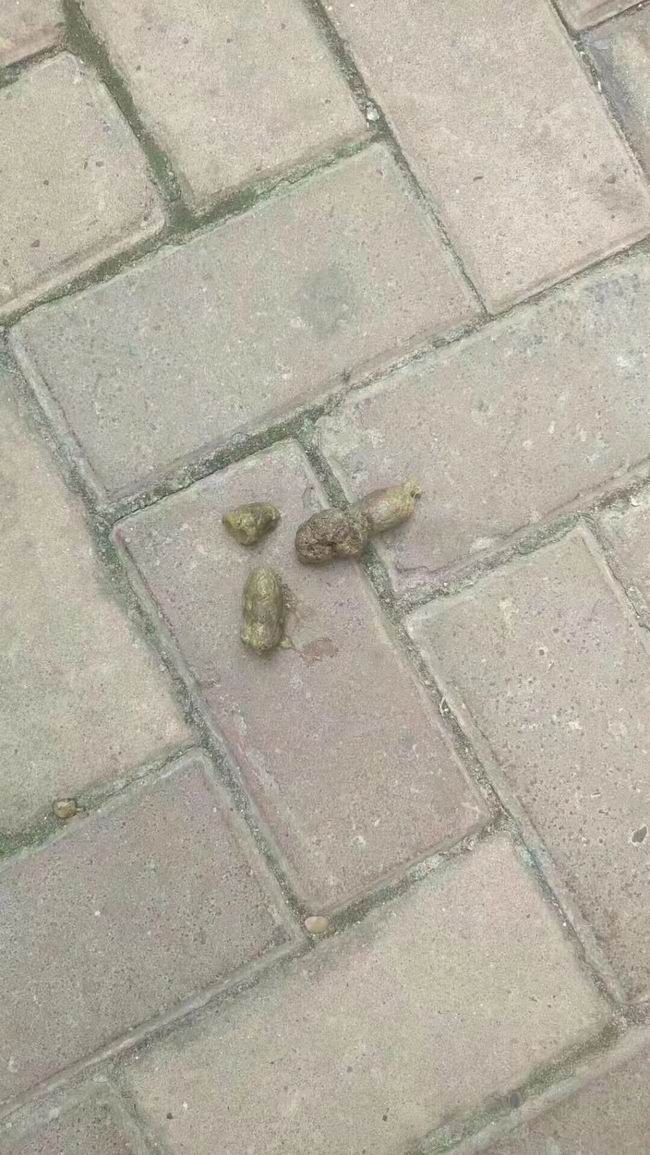 微信圖片_20190725191512.jpg